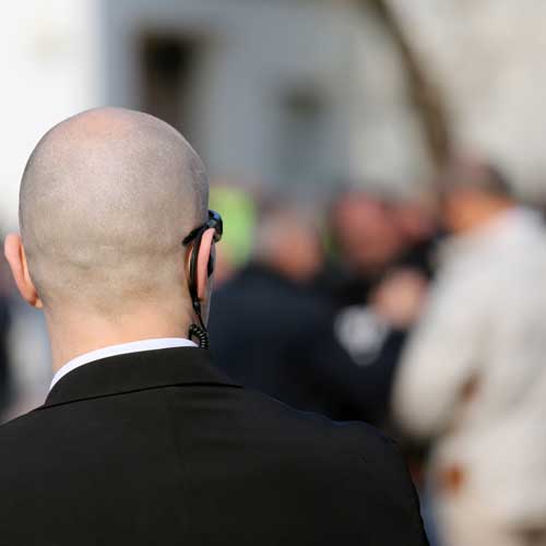 Personal Protection Officer